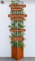 /album/fotogalerij-home/hpg-klimplant-draadrek-corner-5-jpg2/